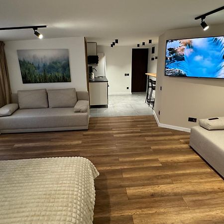 Gray Apartment 24H - Parking On The Street Katowice Bagian luar foto