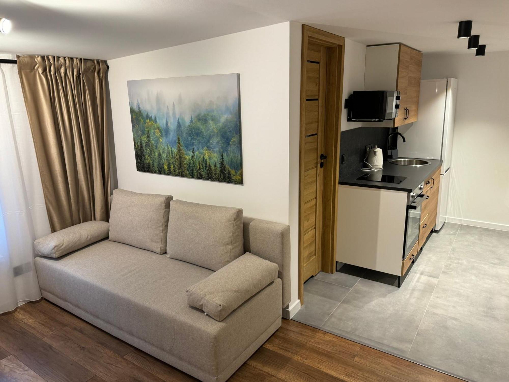 Gray Apartment 24H - Parking On The Street Katowice Bagian luar foto